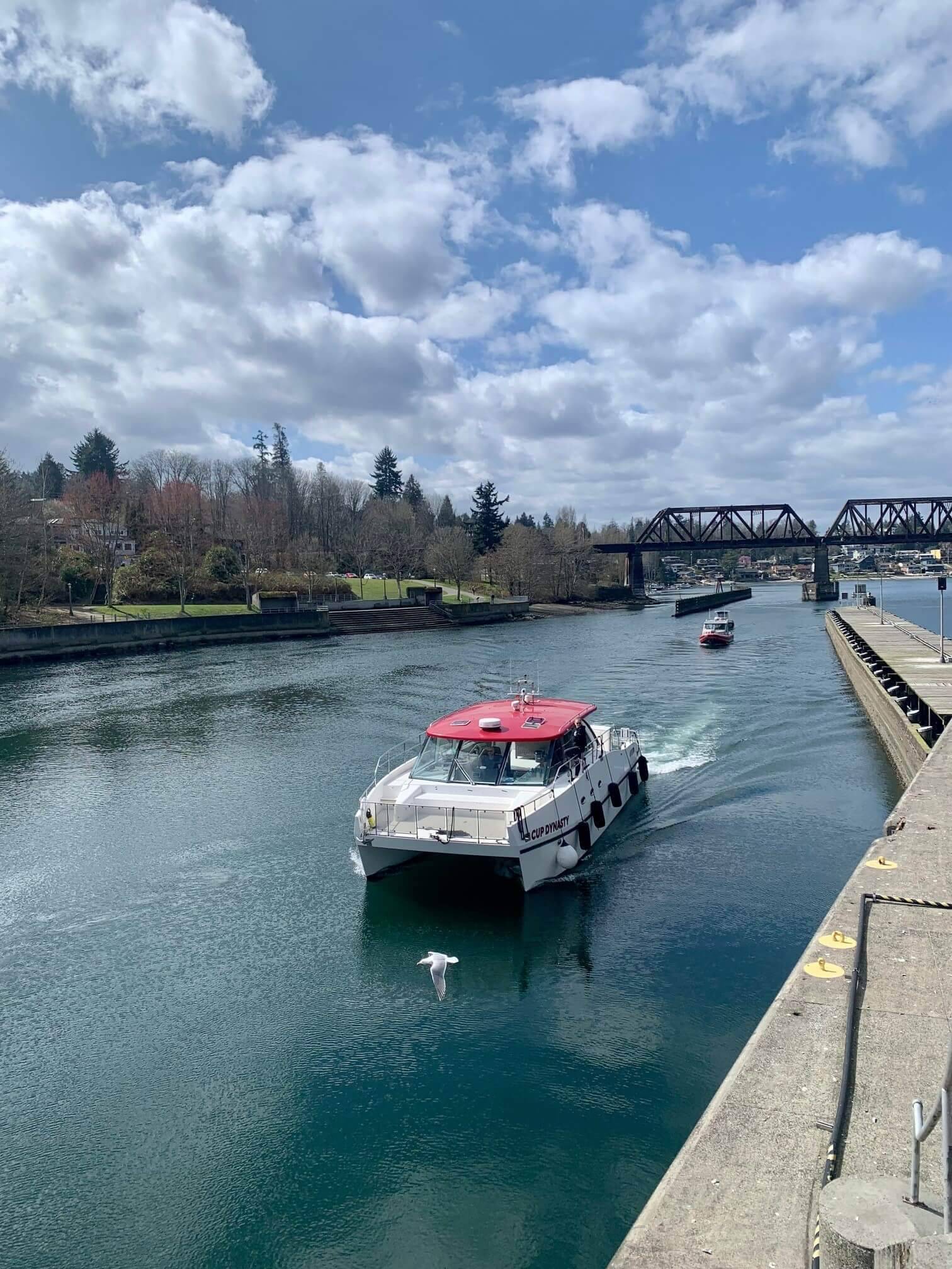 Landscape Gallery Image 7 Reynolda Village - Landscape Gallery Image 7